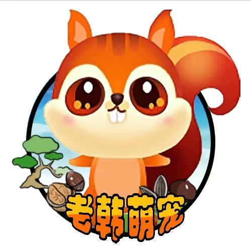 老韩（妈妈）