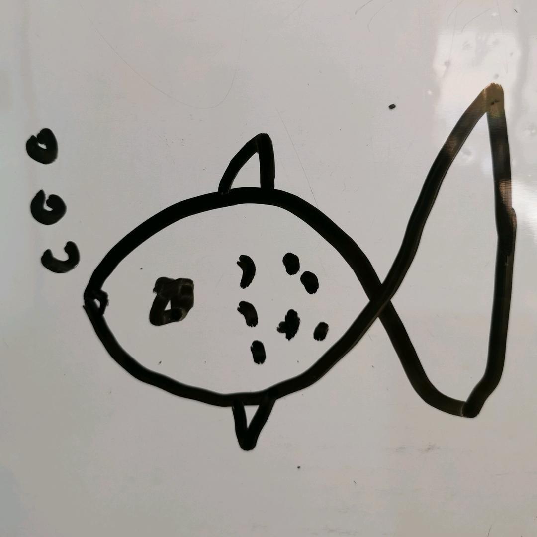 威海轩爸的幸福生活