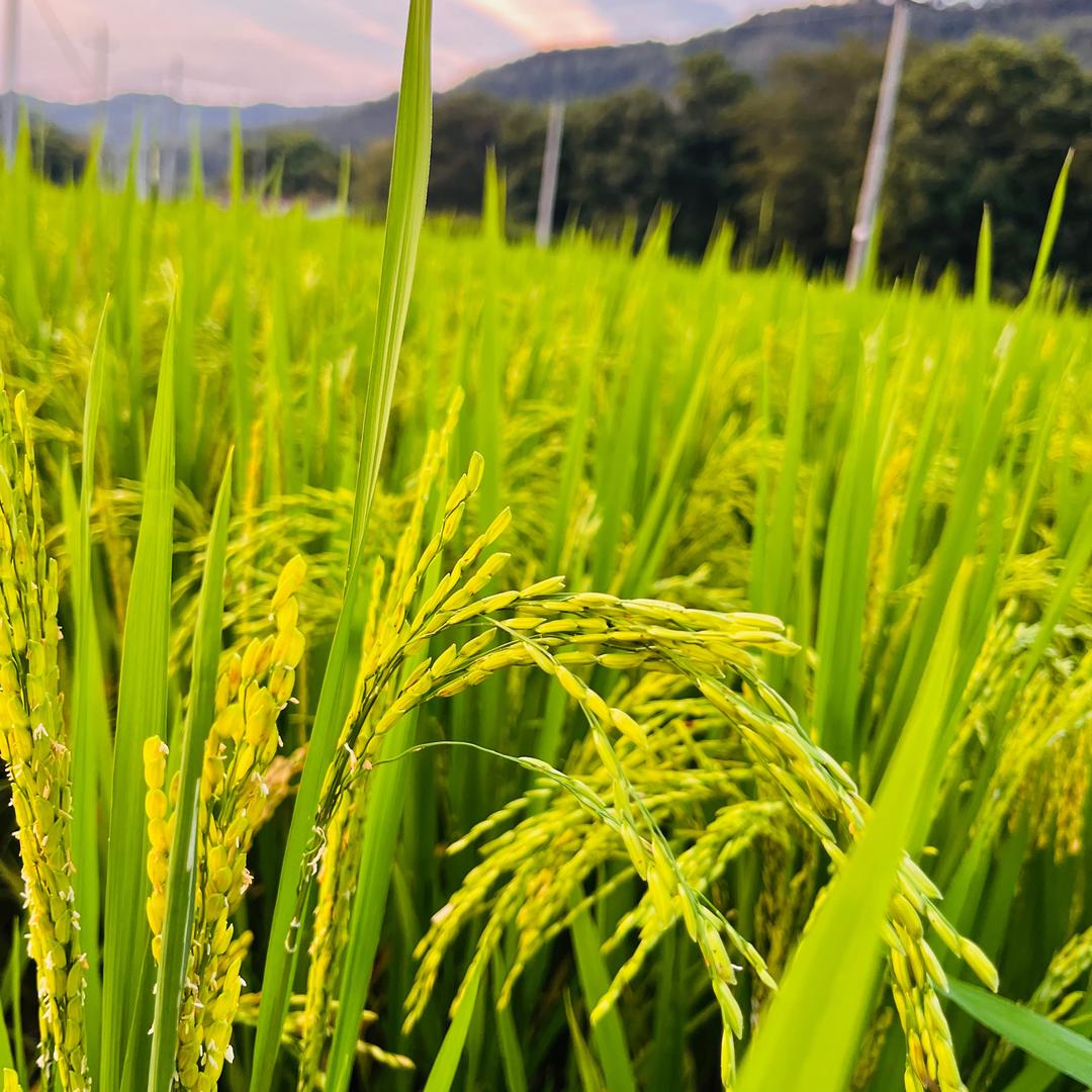 W⁰̴̷̷ ̮ ⁰̴̷̷ u걀🍭