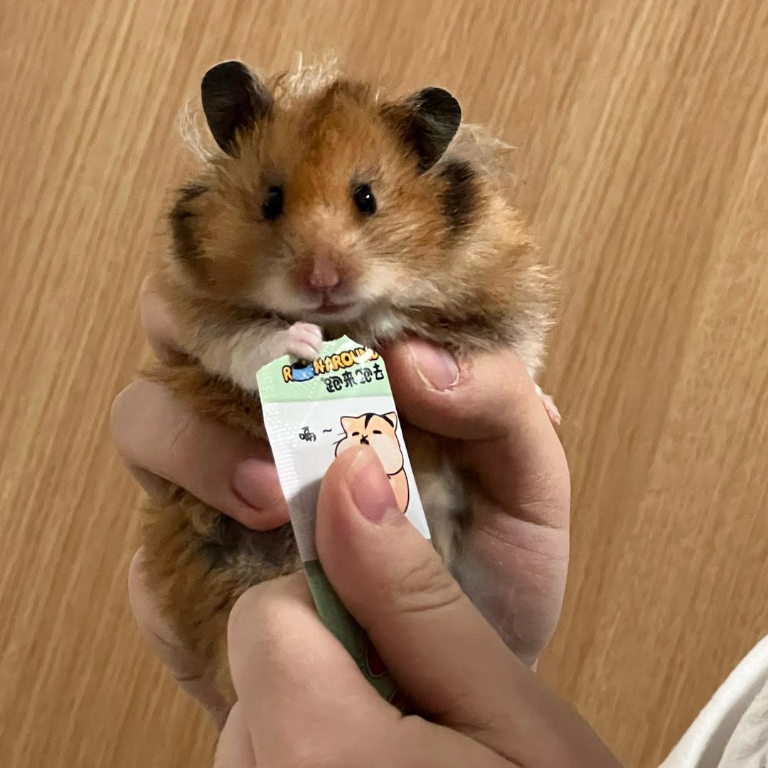Jerry