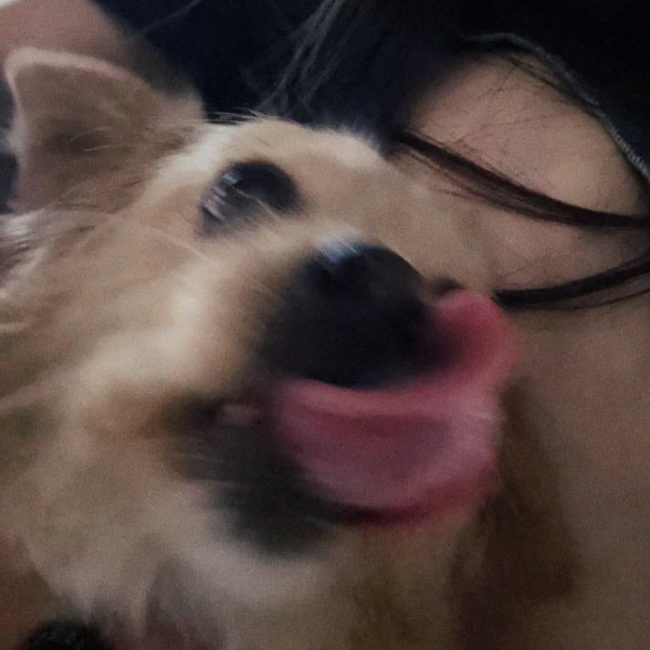 火火呀🔥