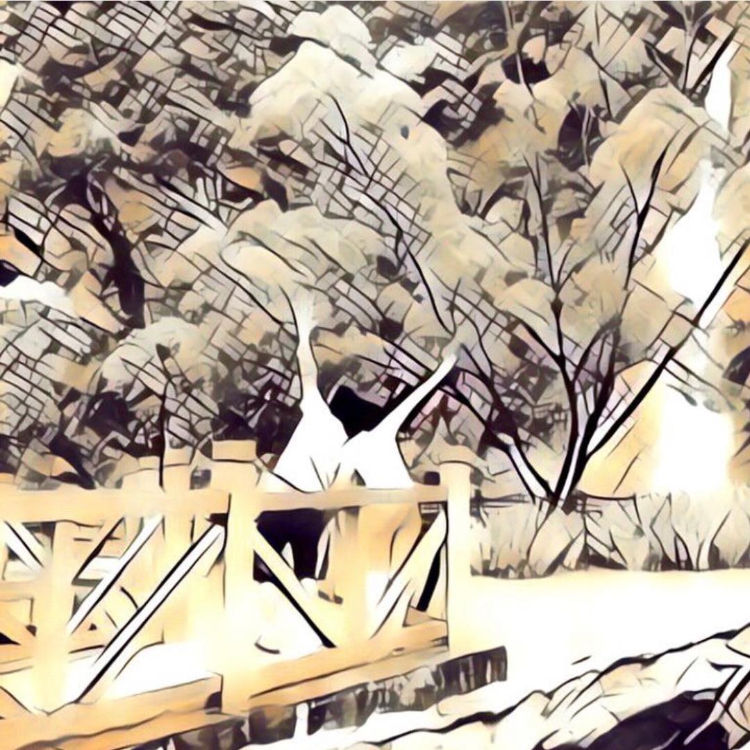 ～糊涂～