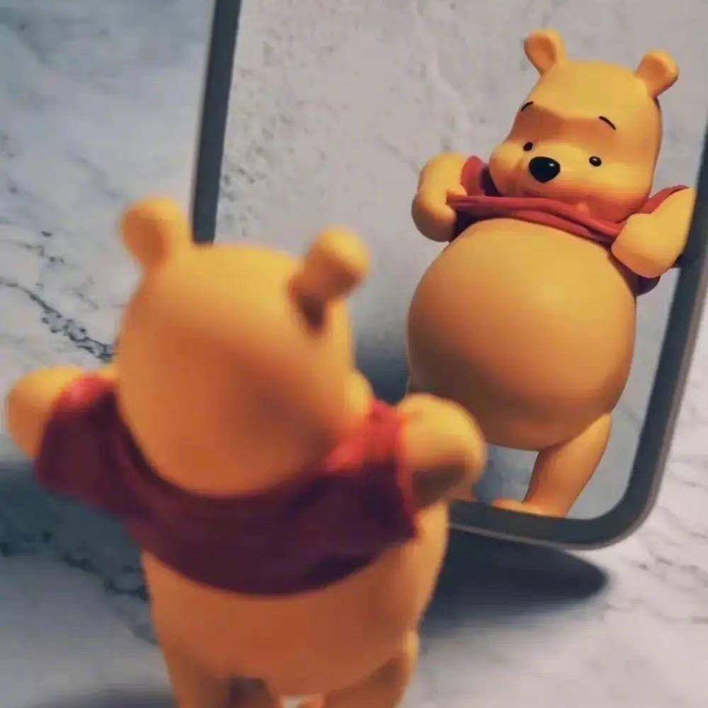 🐻🐻历险记✨