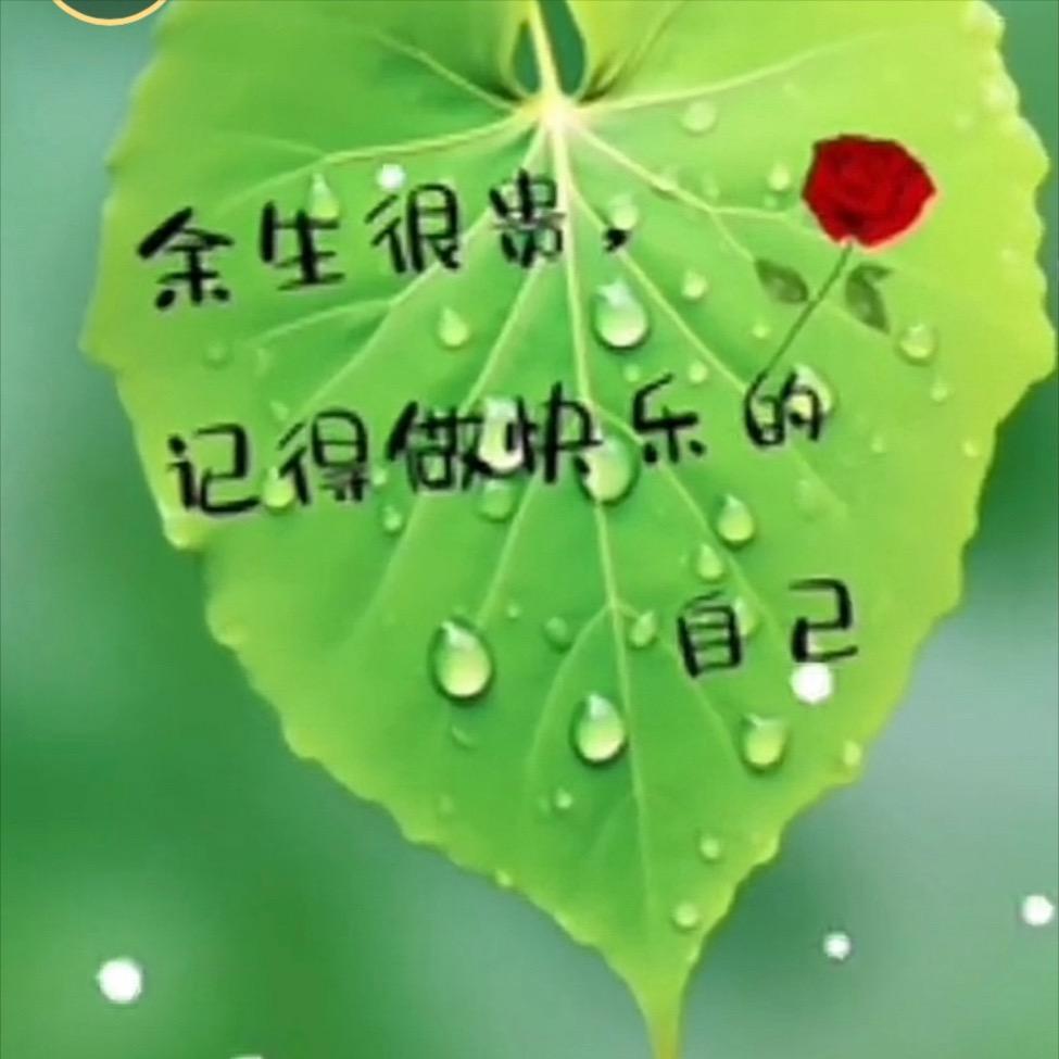 张芯宁（张辉）