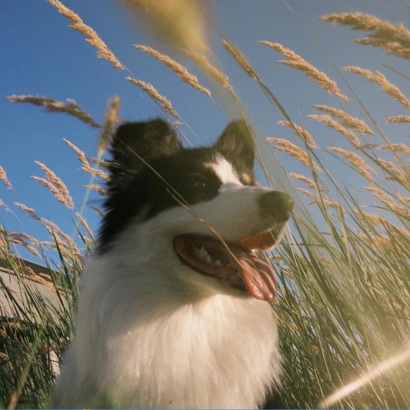 早睡不起身体好🙂