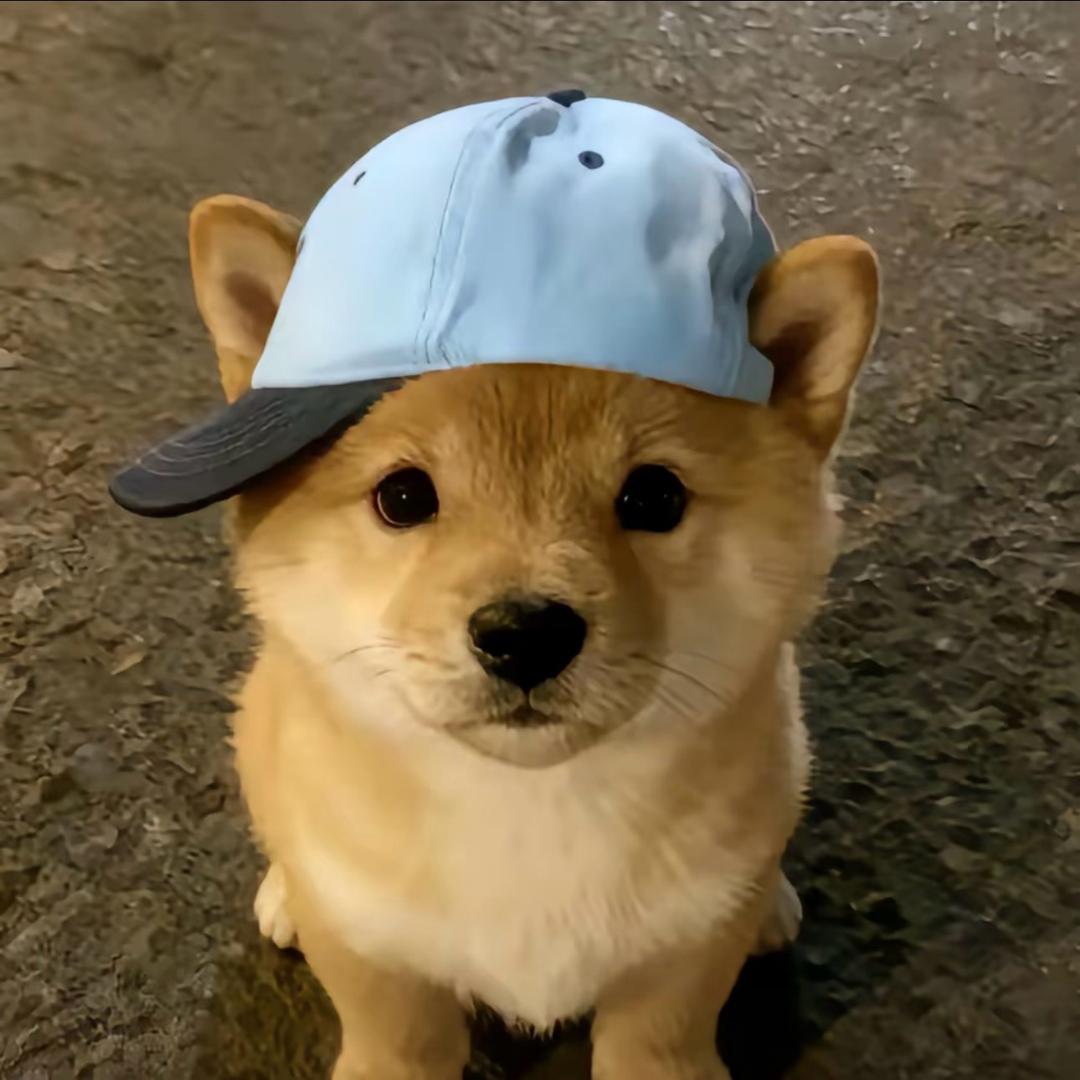 少份缘分