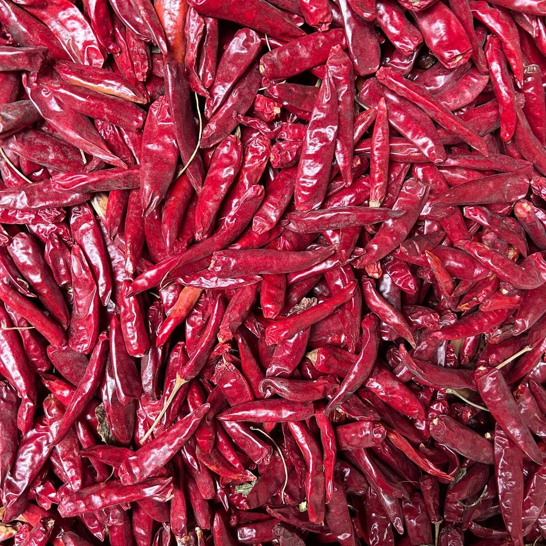 🔥椒阳似火🔥