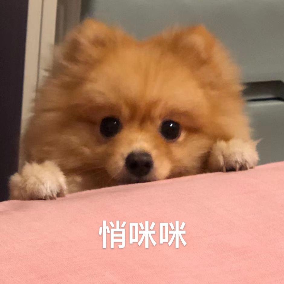 凡尘战神秦诗语头像