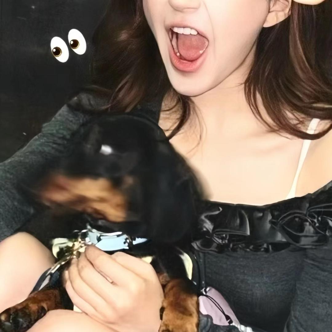 黑绵羊