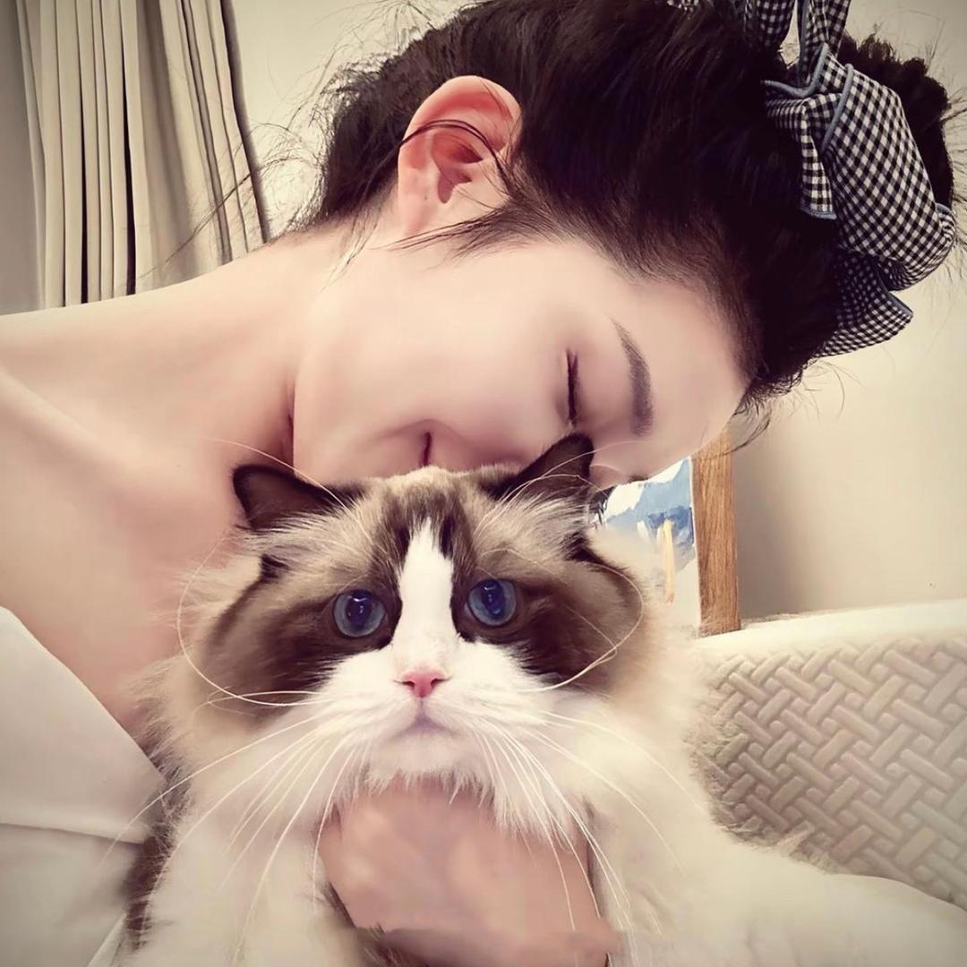 桐花巷