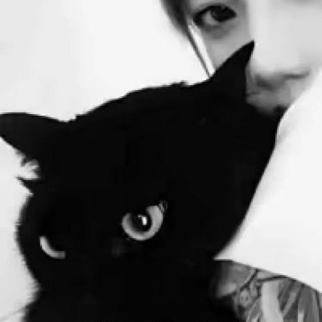 云猫