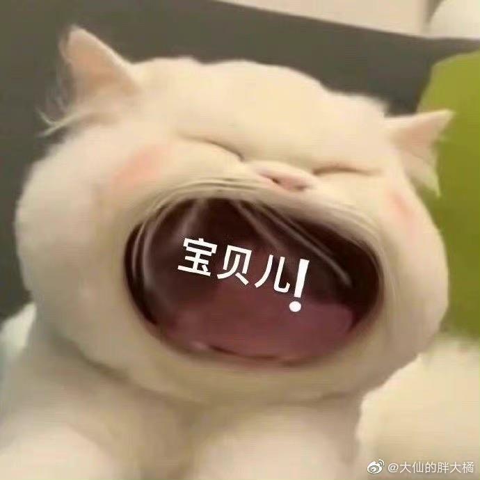 仙女爱吃葵花籽