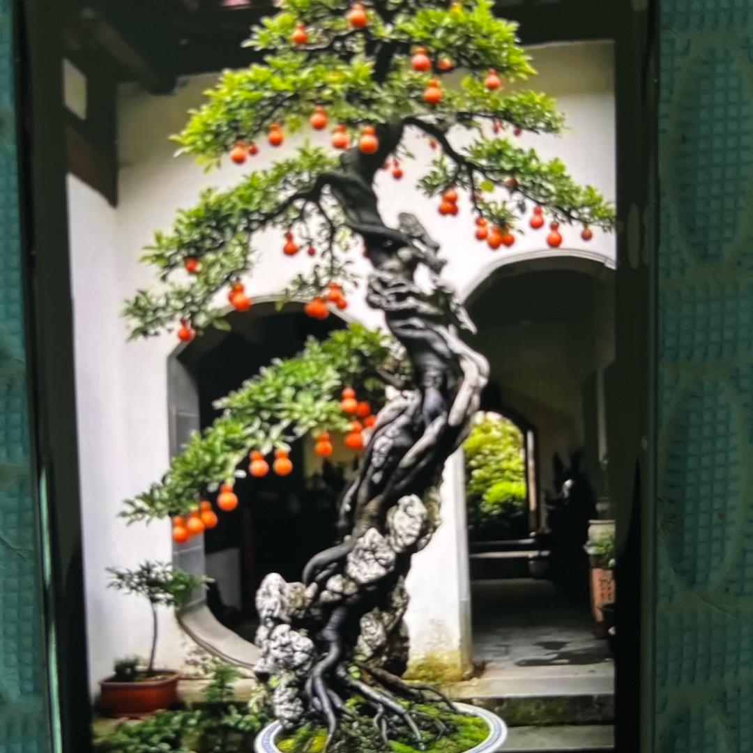 二哥弟古方（湿，瘦）