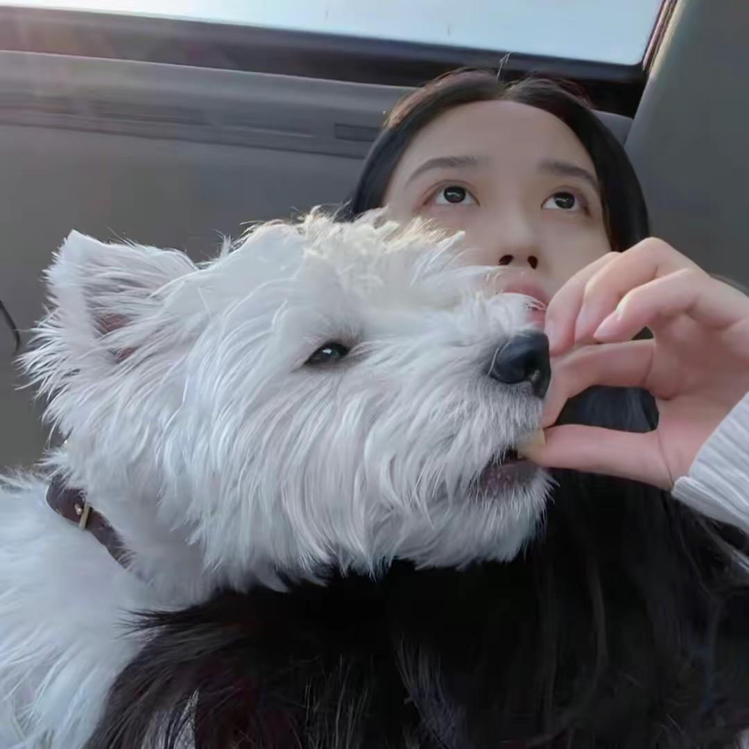 阿呆