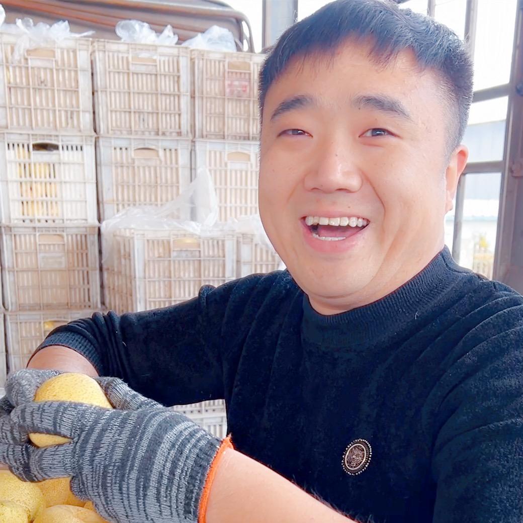 头雁联盟砀山特产