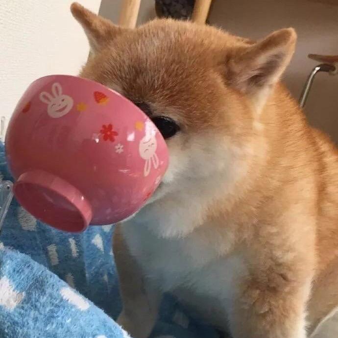 三毛.