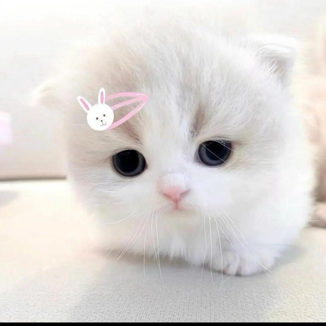 Kiki