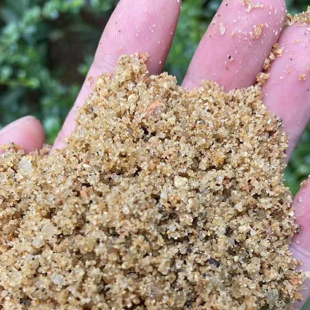 广东盛世皇朝集团