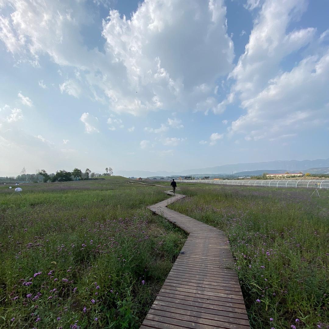 小龙帮你找工作