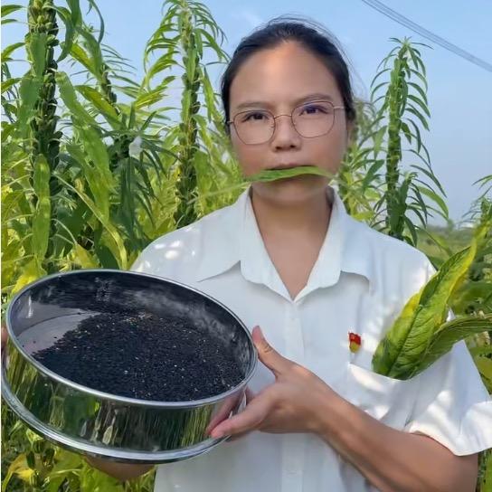 乡村好货推荐官-秀秀