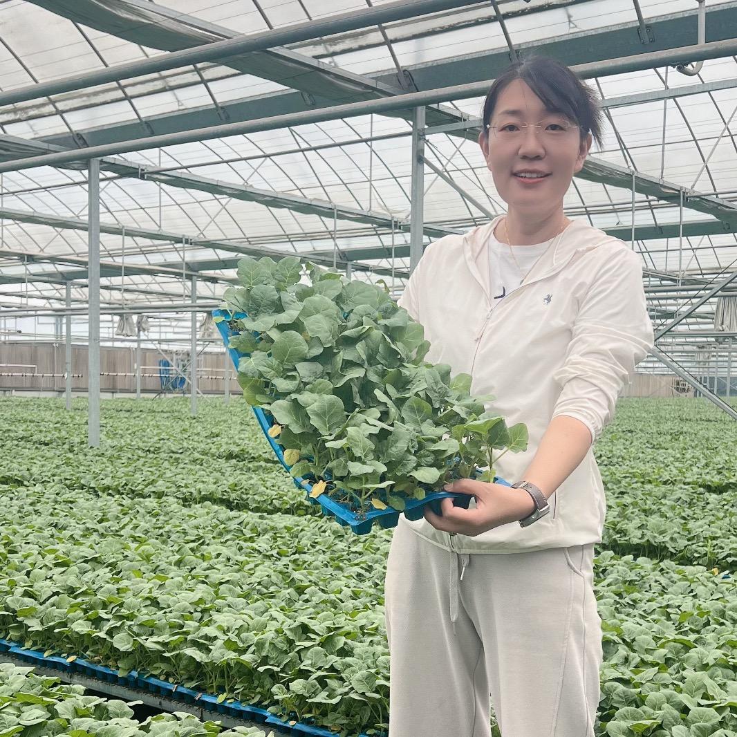 🌱寿光茄子皇后