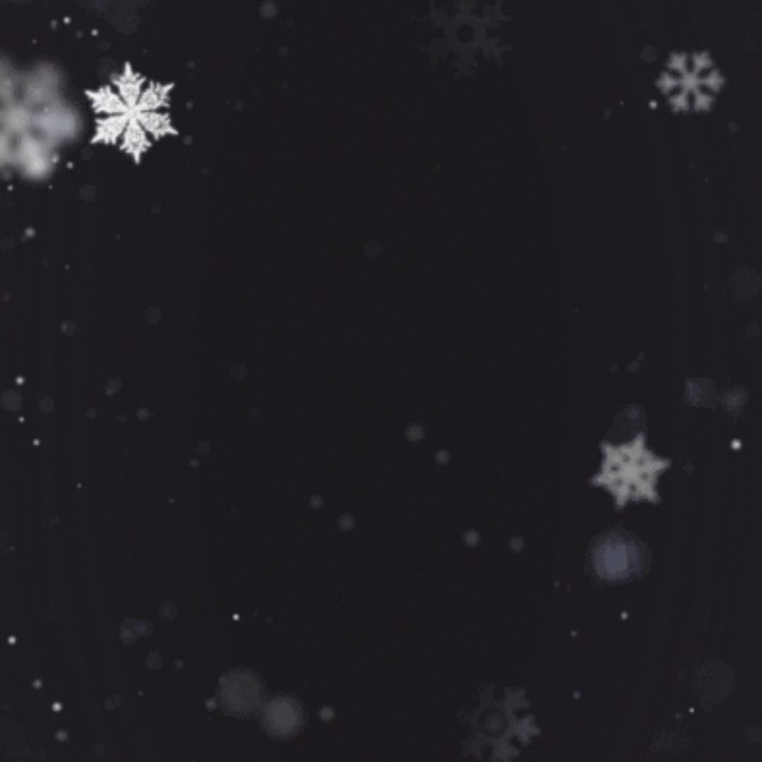 不要再来伤害我