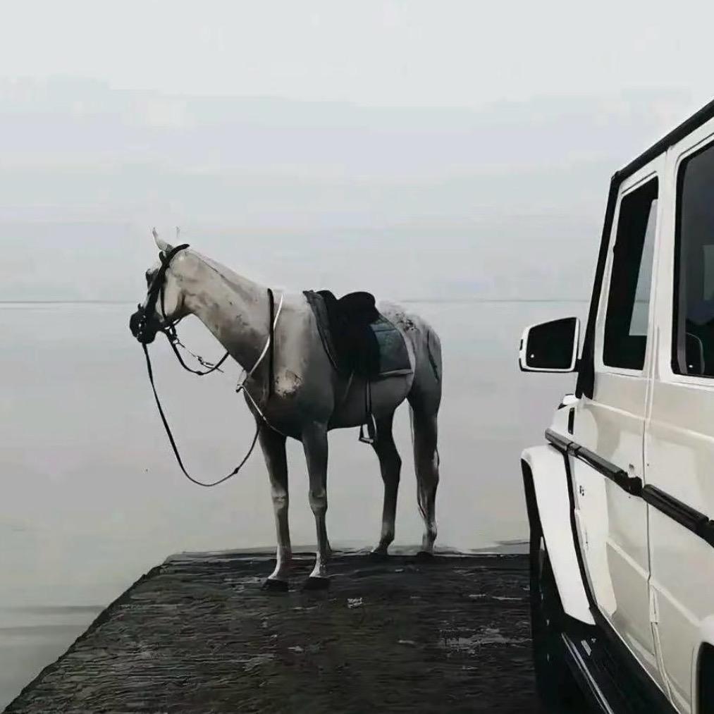 🍀郑州孙悟空🐒🏎