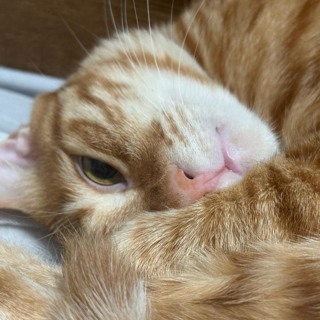 心中有山河万里