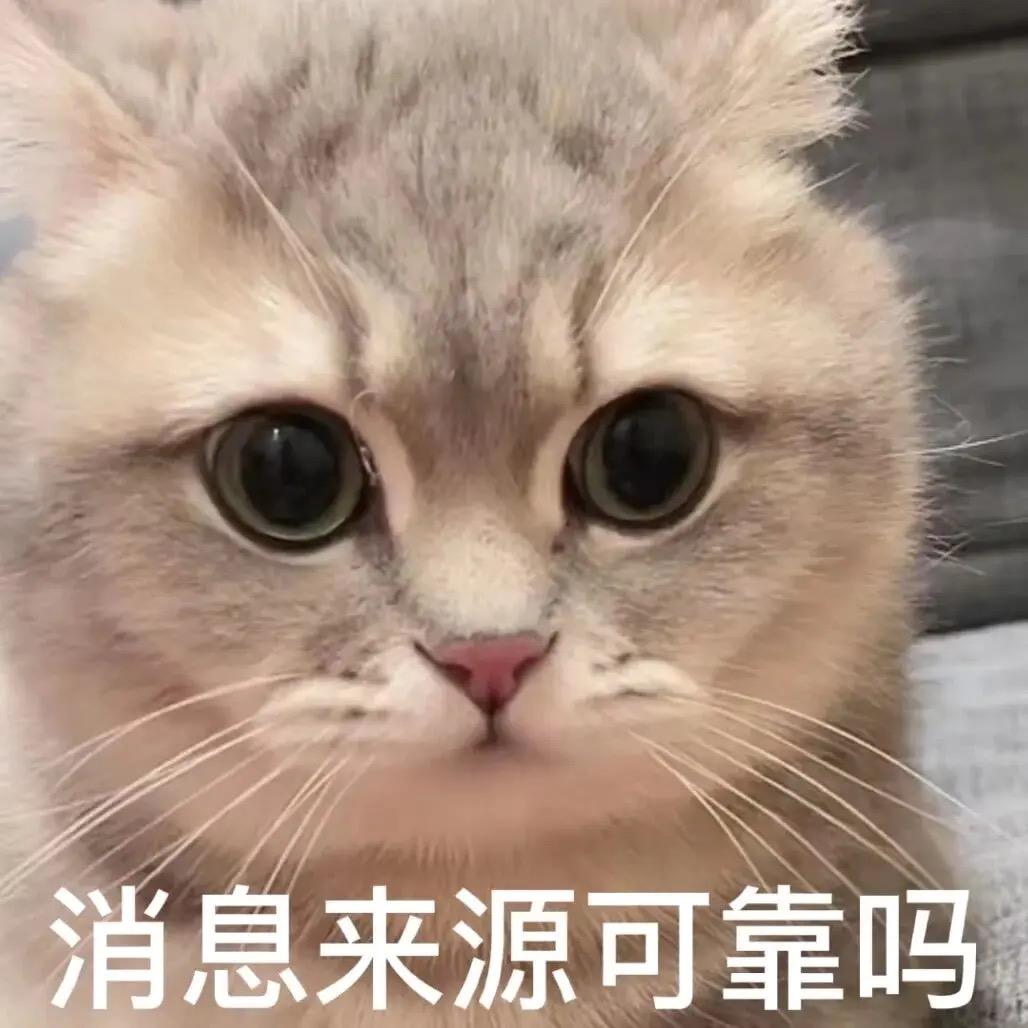 杰克猫潮玩