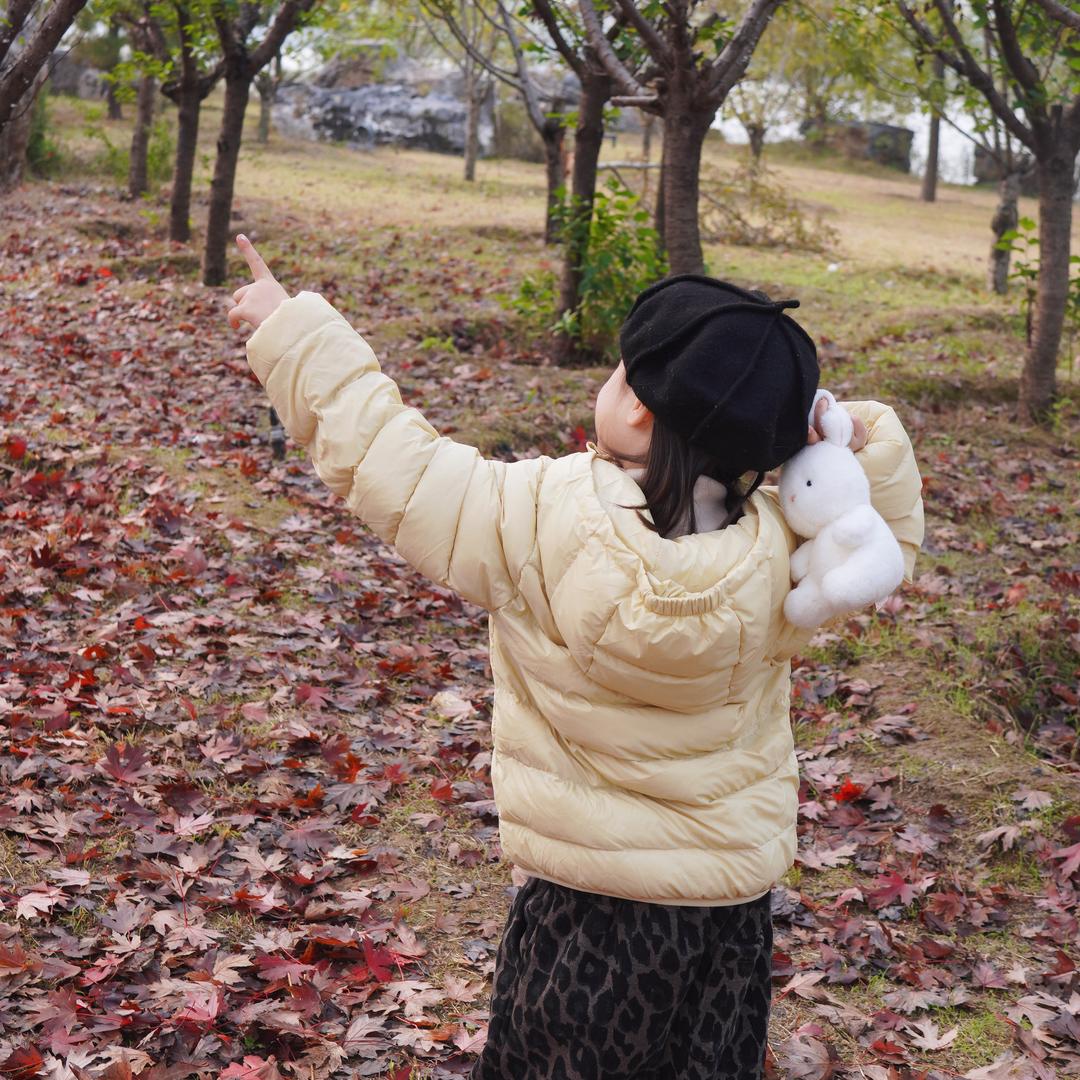 一只小N宝～👑