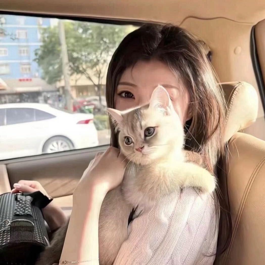 火龙🐾