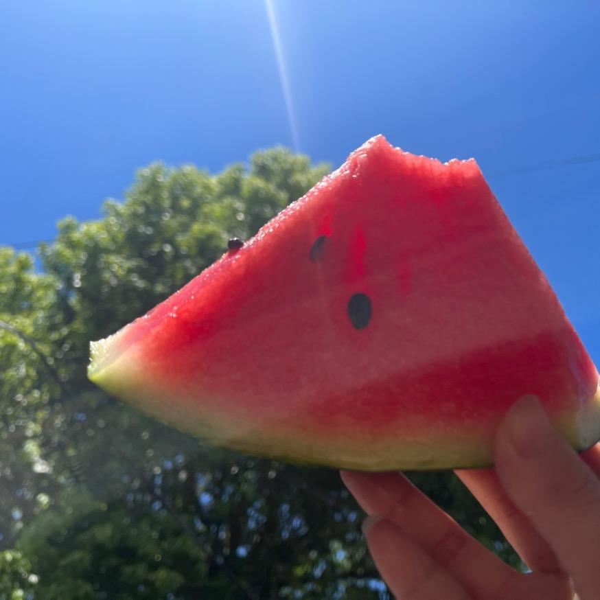 一天两天