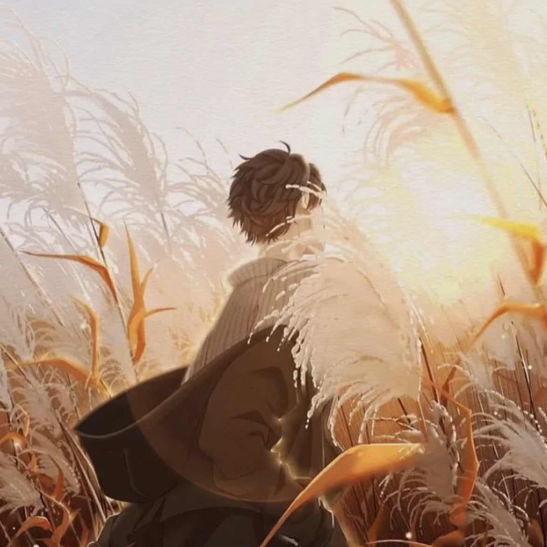 沧澜i
