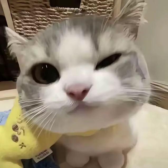 呆脚布？