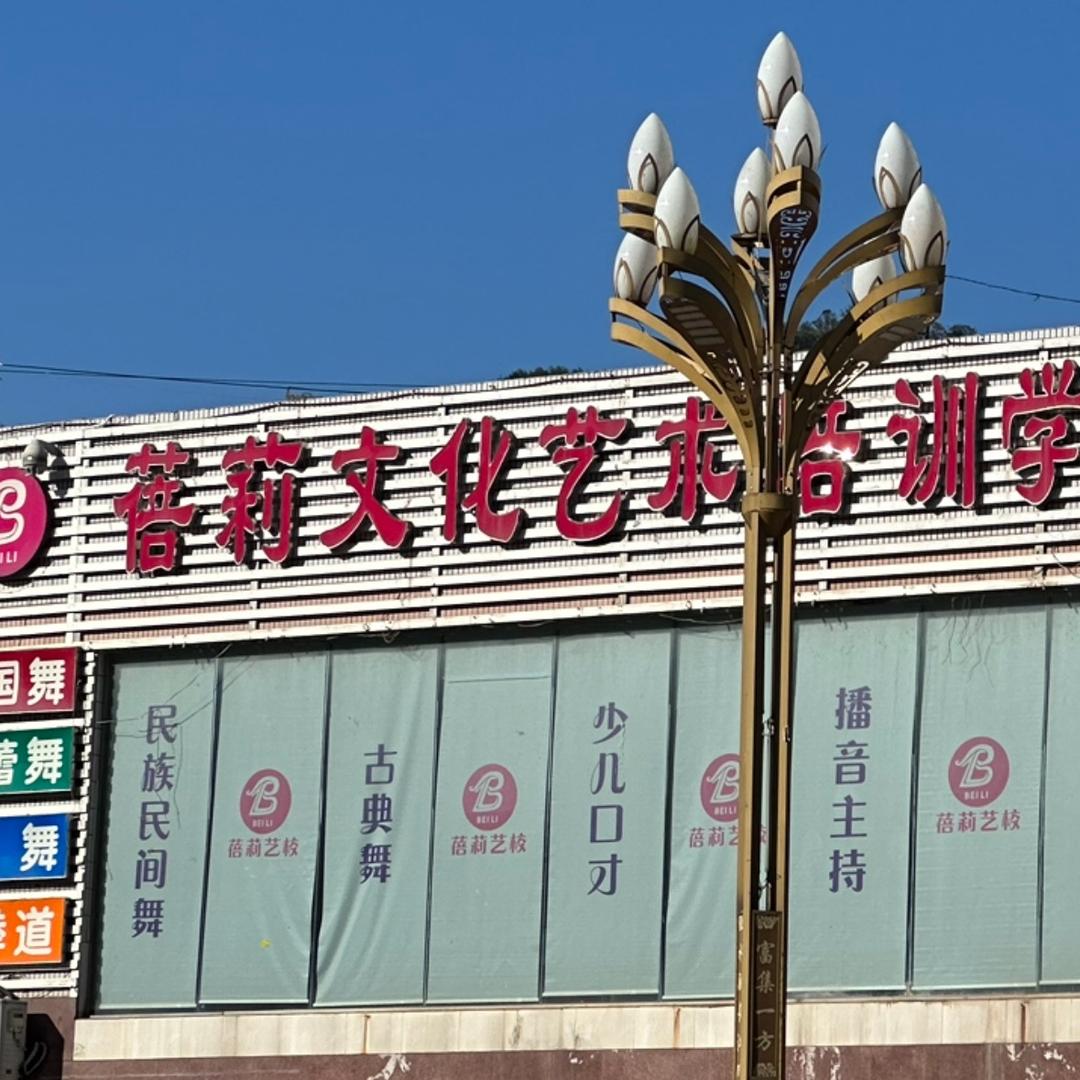 蓓莉艺校