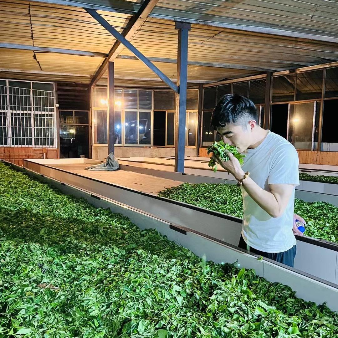 普爱茶行