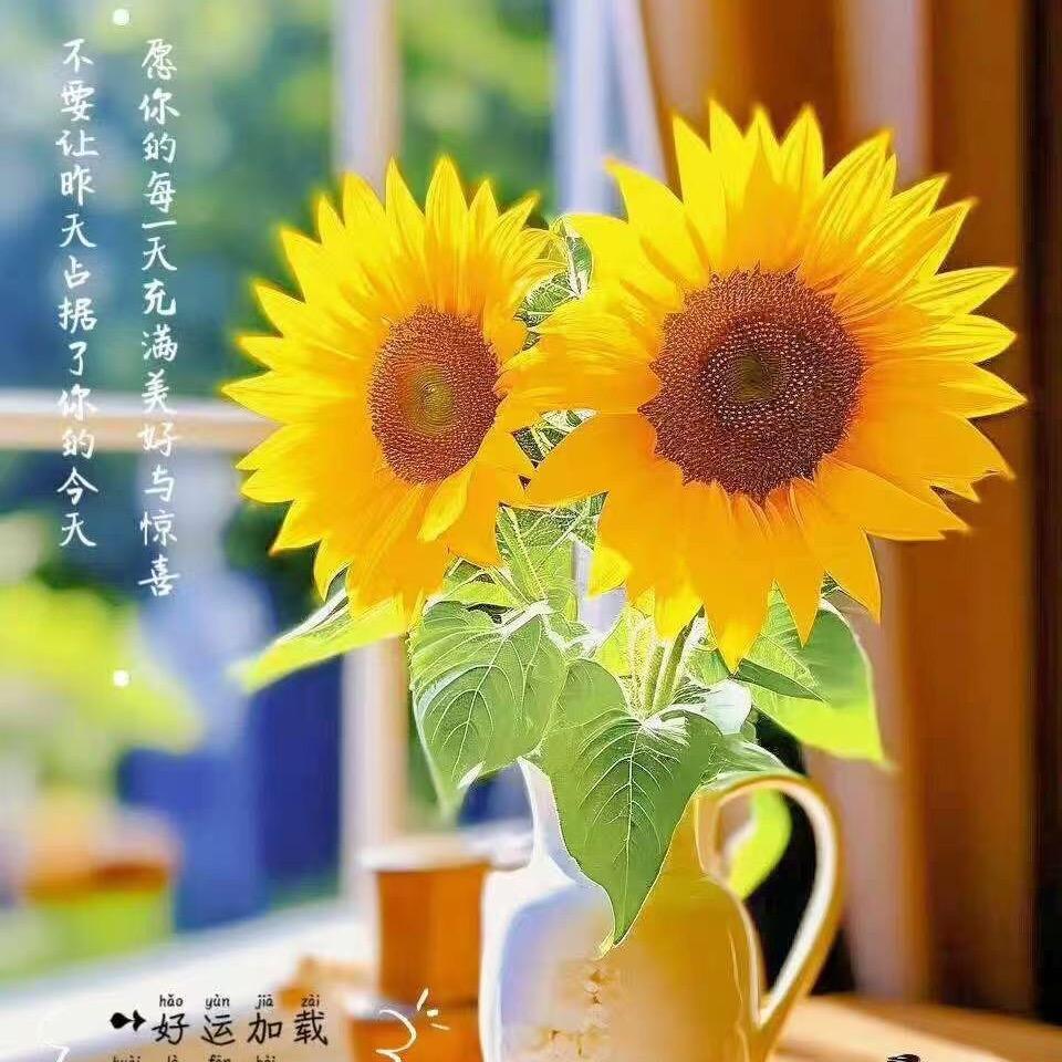 花花 的 花