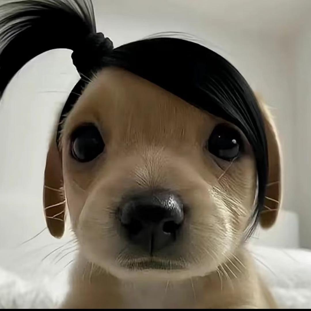 冷裤的人