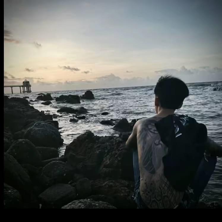 不吃鱼的猫