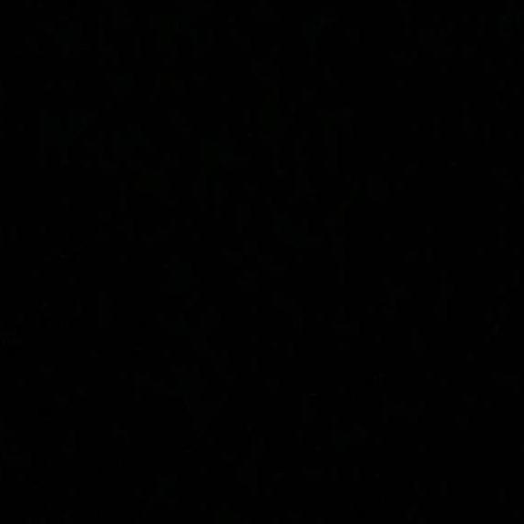 夜巴黎🩸