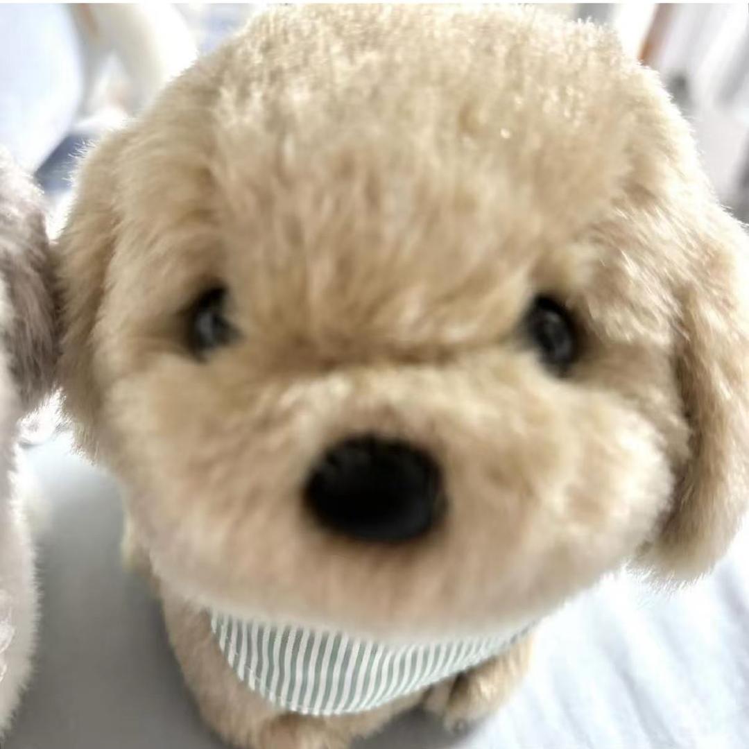 ㅤㅤ ㅤㅤㅤㅤ