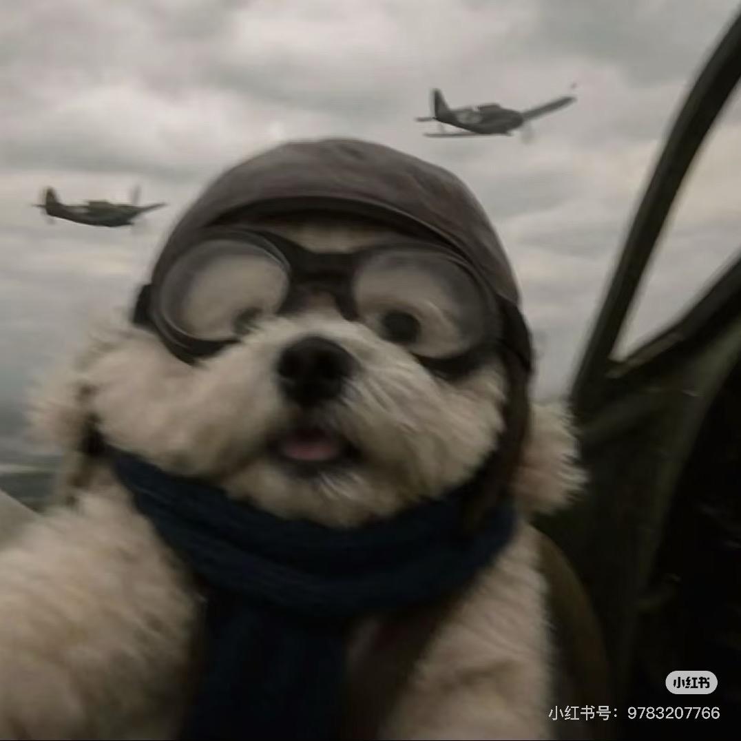 🐾王老菊੯‧̀͡⬮ིྀ