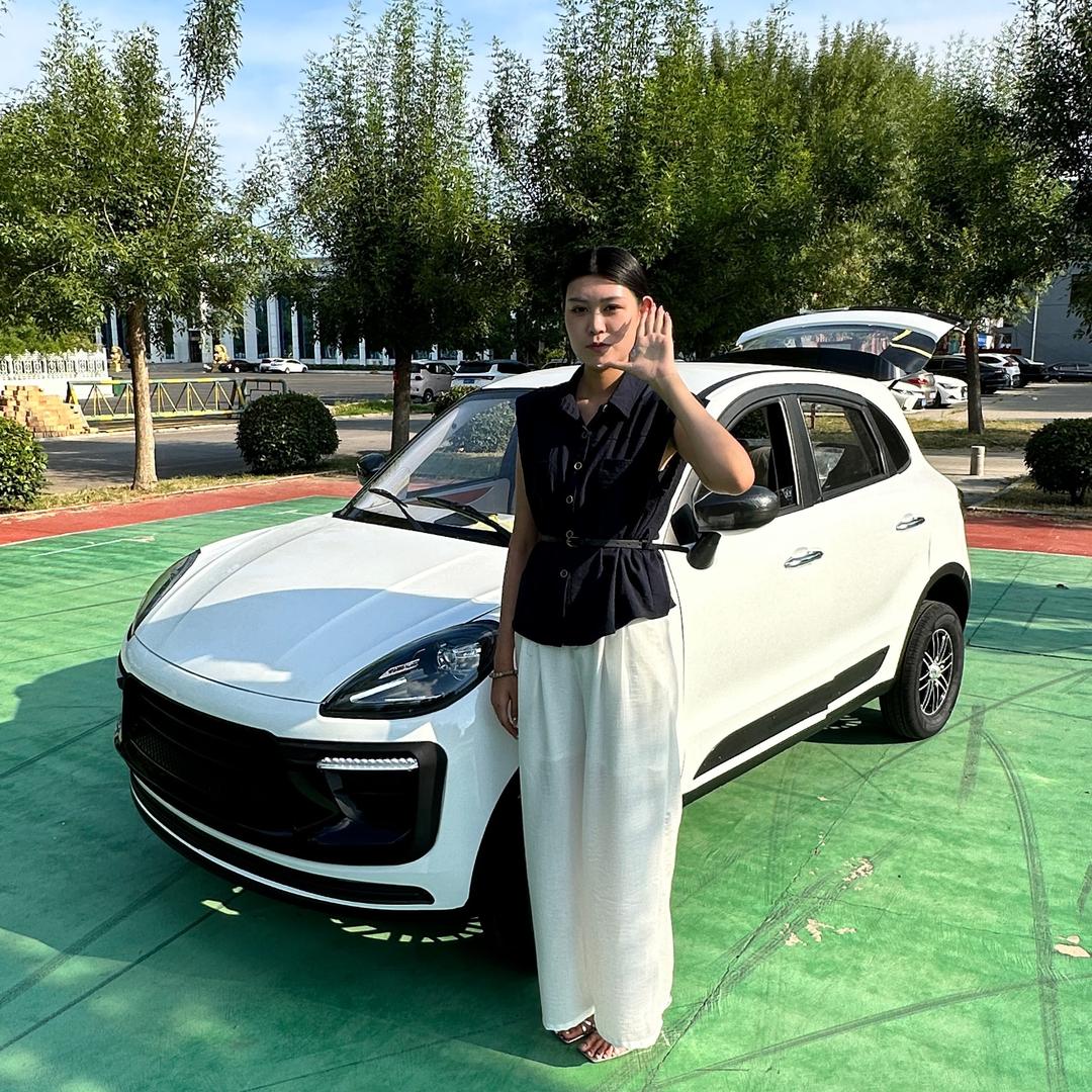 腾飞新能源低速车