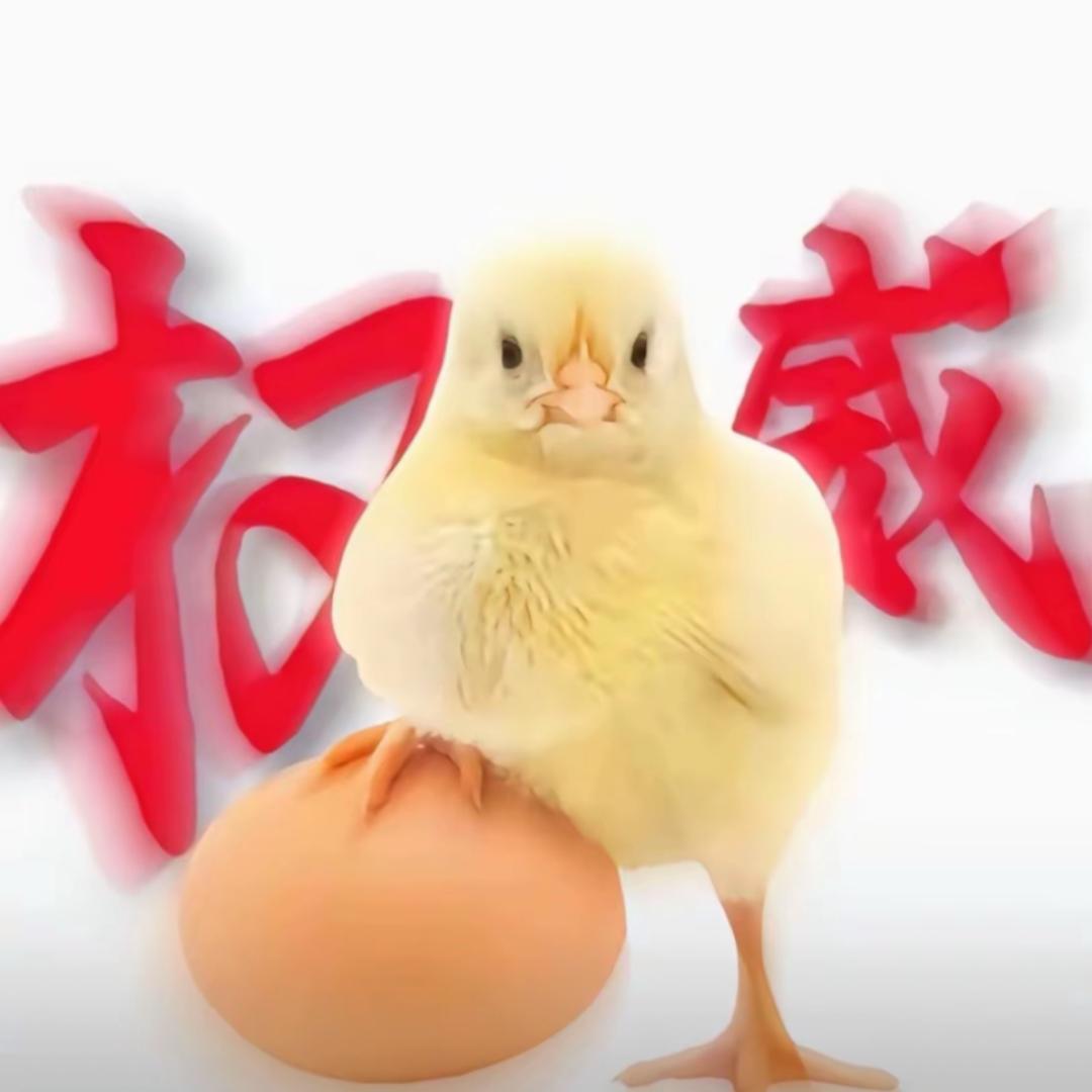一天应该吃4顿饭睡12个小时