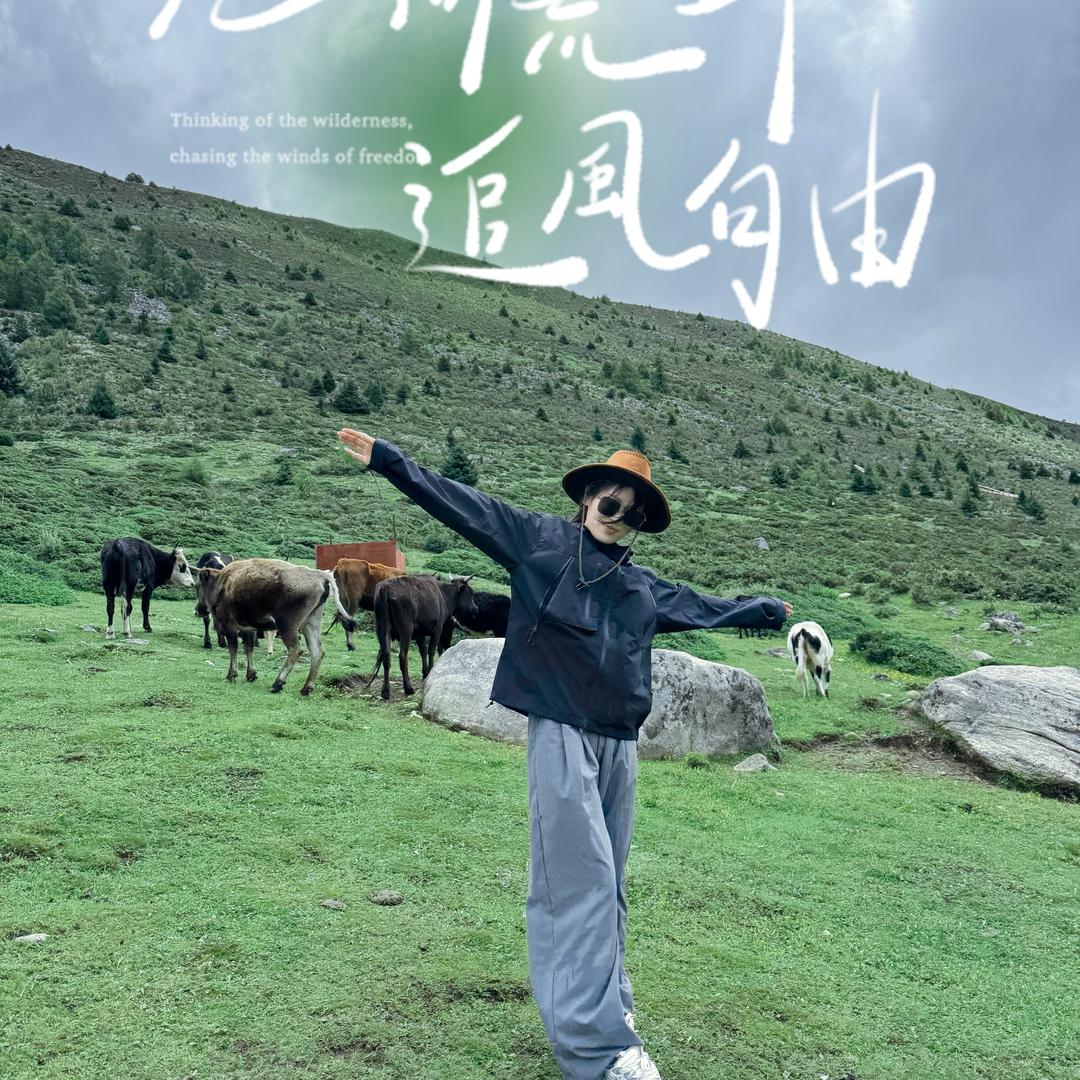 港岛mm