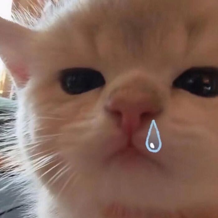 ･∞･头像