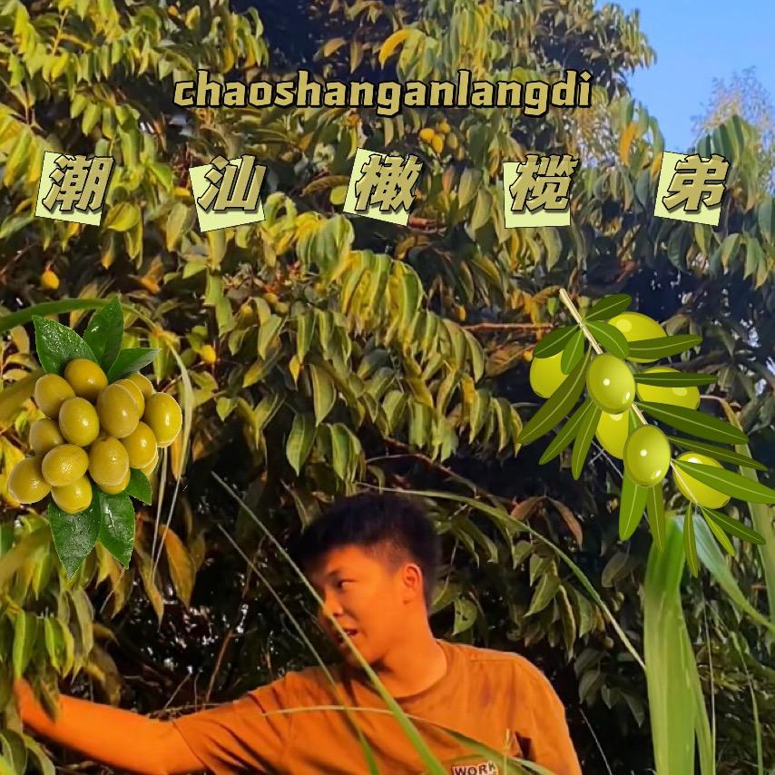 潮汕“橄榄弟
