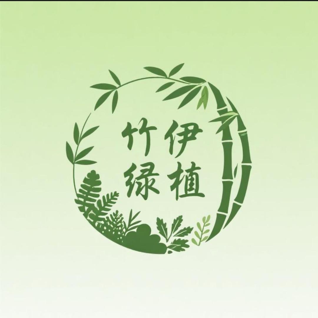 竹伊绿植盆景