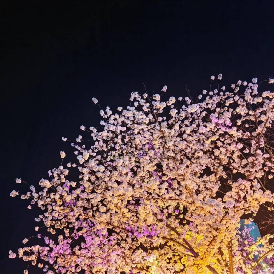 广东魔方盒优品小铺