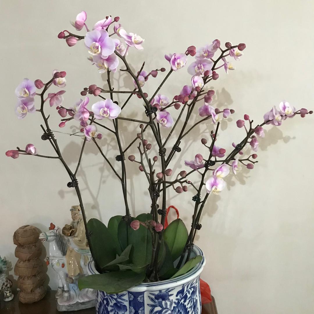 用户名65530452头像